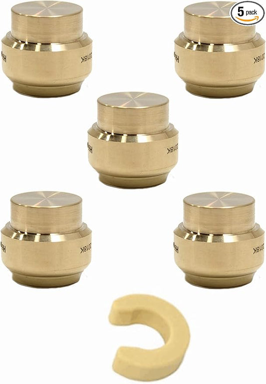 (Pack of 5) EFIELD 1 Inch Plug End Cap Push-Fit Fitting to Connect Pex, Copper, CPVC With Disconnect Clip,(PF101-5PCS)