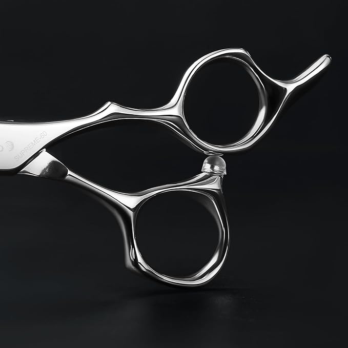 AOLANDUO Master Series VG10 Steel Professional Hair Cutting Scissors, Ultra-Sharp Barber & Stylist Shears, Best Hair Cutting Scissors Professional, 1 Count, 6.0 Inch, Silver White