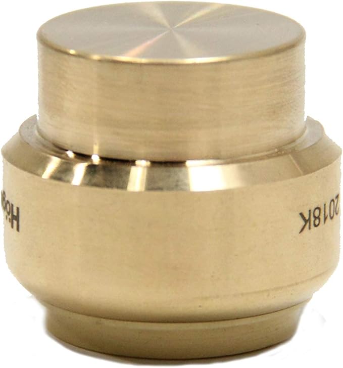 (Pack of 10) EFIELD 3/4 Inch Plug End Cap Push-Fit Fitting to Connect Pex, Copper, CPVC with Disconnect Clip,(PF100)