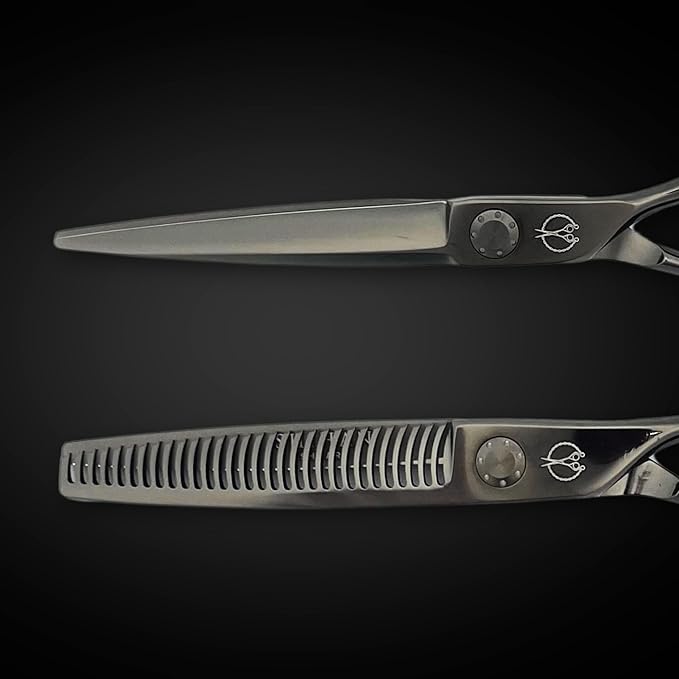 6" Hair Shears Set from Shihan Shears - Cutting and Thinning/Texturizing Scissors with Black Titanium Finish - VG-10 Stainless Steel for Professionals