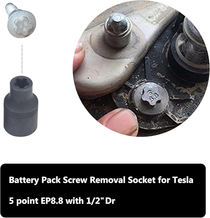 19pc External Torx Plus Socket Set 6 Point EP4, EP5, EP6, EP7, EP8, EP10, EP11, EP12, EP14, EP16, EP18, EP20, EP22, EP24, EP26, EP28, EP30, EP32 with 1/2'' 3/8'' 1/4'' Dr E-Torx Plus Socket
