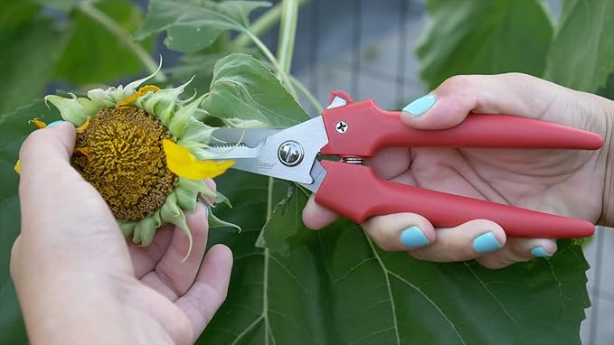 Clauss Spring-Action Stainless Steel Wire Cutters / Pruning Shears For Gardening, Red, 7.5?쇺?(33503)