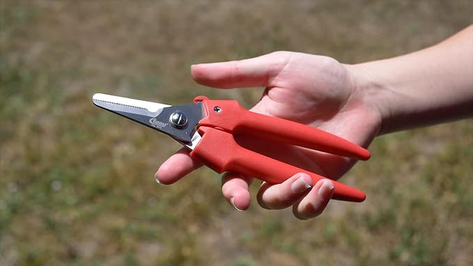 Clauss Spring-Action Stainless Steel Wire Cutters / Pruning Shears For Gardening, Red, 7.5?쇺?(33503)