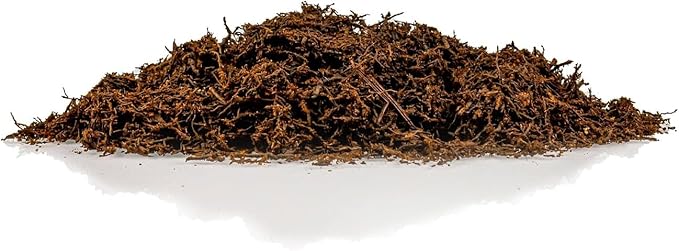 Premium New Zealand Tree Fern by GARDENERA - Orchid and Epiphytal Plants Growing Medium and Reptile Substrate - 1 Quart Bag