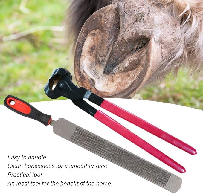 Professional Hoof Trimming & Rasp Tools for Horses, Durable Carbon Steel Farrier Tools for Hoof Care