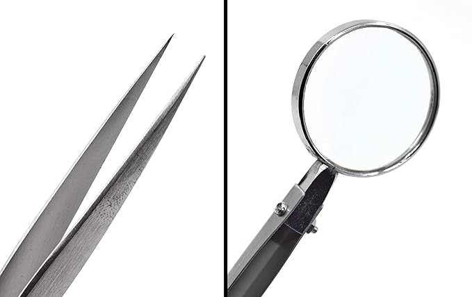 EISCO Forceps with Built-in Magnifying Glass, 5" - Fine Tip Tweezers Excellent for Detailed and Precise Work- Eisco Labs