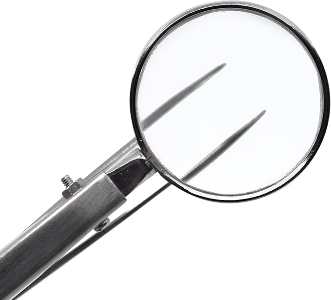EISCO Forceps with Built-in Magnifying Glass, 5" - Fine Tip Tweezers Excellent for Detailed and Precise Work- Eisco Labs