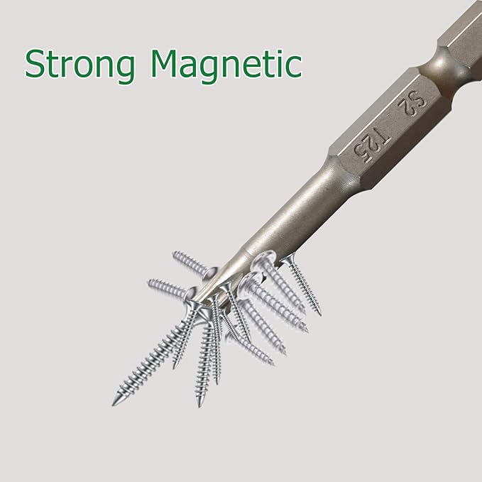 T25 Impact Screwdriver Bit Set, 10 Pieces 2?쒾2 Steel Magnetic #25 Torx Tips Power Driver Bit Set with Organizer Case