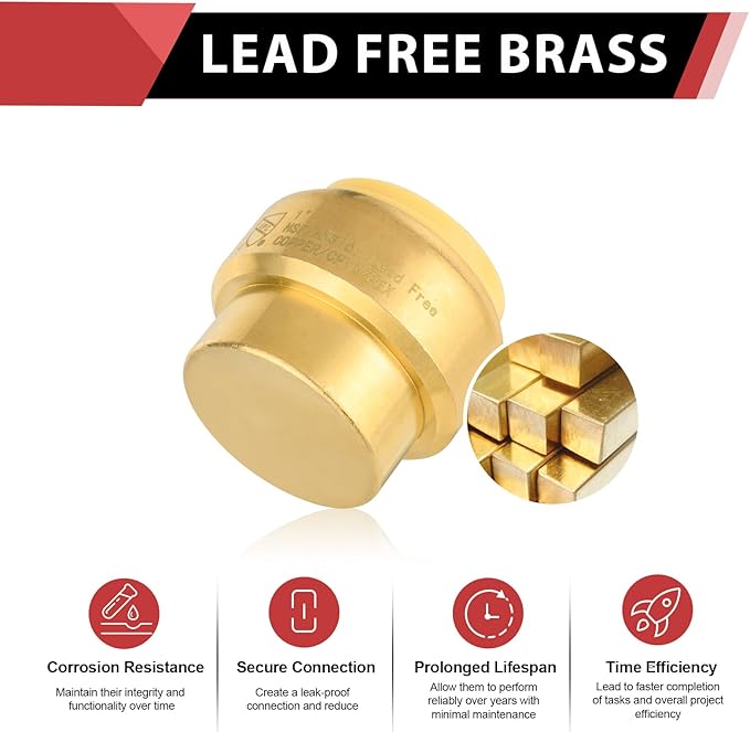 (Pack of 5) EFIELD 1 Inch Plug End Cap Push-Fit Fitting to Connect Pex, Copper, CPVC With Disconnect Clip,(PF101-5PCS)