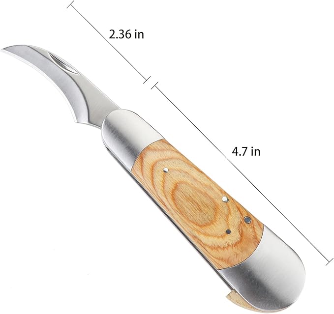 Mushroom Knife with Brush and Sheath, Curved Stainless Steel Blade, Hardwood Handle, 7.06 Inch Folding Design, for Morels, Porcini, Chanterelles, Foraging Mushroom Gifts