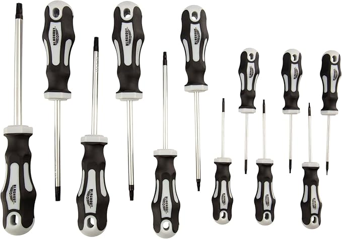 Blackout XP 12-Piece Torx Screwdriver Set Plus Zippered Carrying Bag | Precision Magnetic Screwdriver Tool Set, Black (12 Piece)