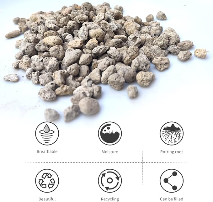 Horticultural Pumice for Plants Professional Sifted (12QT, 1/4 inch)