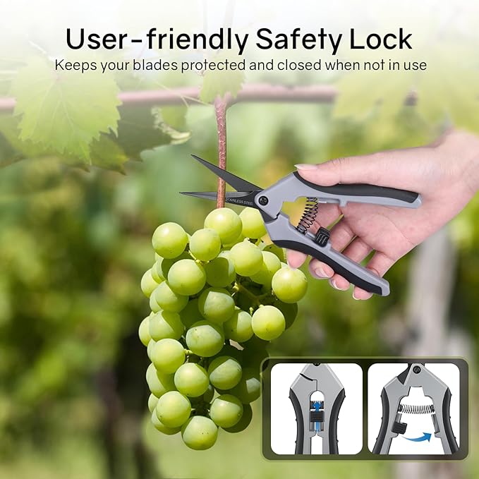 6.5" Ultra Sharp Pruning Shears - Professional Garden Scissors with Curved Stainless Steel Blades, Ergonomic Handle, Rust Resistant, Safety Lock, Trimming Scissors for Plants in Grow Tents, 2-Pack