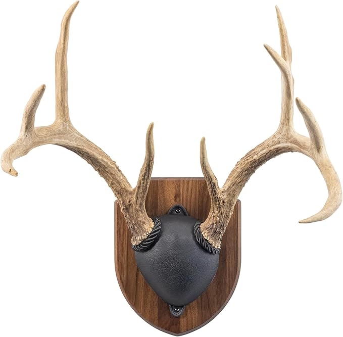Foggy Bottom WOODWORKS LLC Antler Display KIT, Solid Walnut