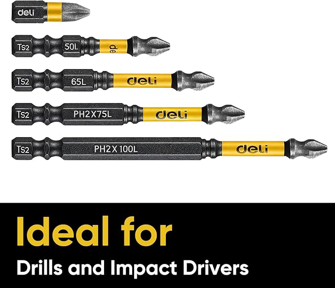 DELI 5pcs Power Bits Phillips Nano Emery Coated Screwdriver Bits 1" 2" 2.5" 3" 4"