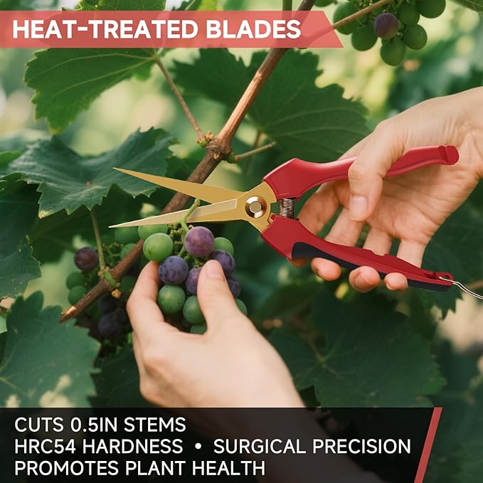 FLORA GUARD Garden shears ??8.2" Straight Tip & 7.2" Curved Blade pruning shears for gardening, Great Christmas Gifts, ideal for Precise Trimming of Flowers, Plants, and Garden Maintenance (2 Pack)