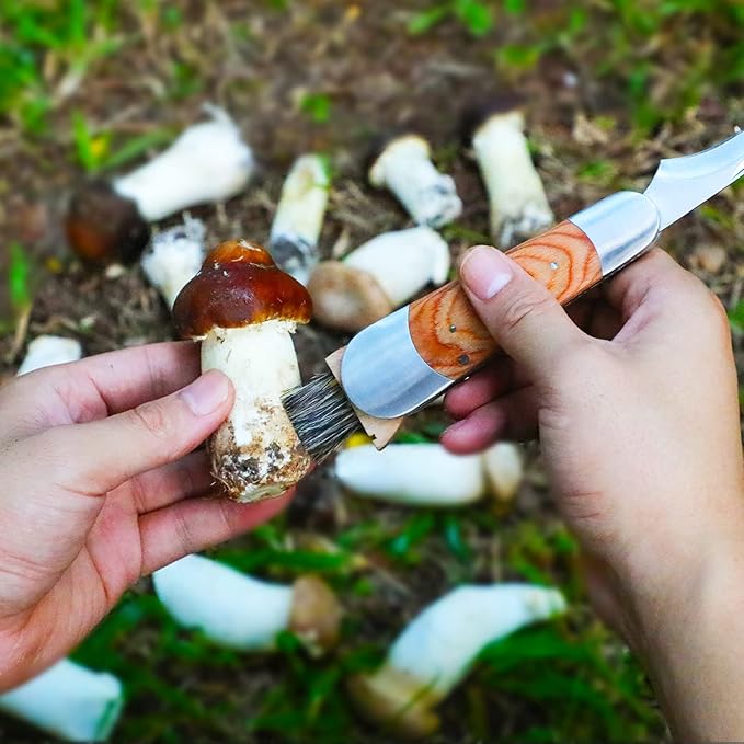 Mushroom Knife with Brush and Sheath, Curved Stainless Steel Blade, Hardwood Handle, 7.06 Inch Folding Design, for Morels, Porcini, Chanterelles, Foraging Mushroom Gifts