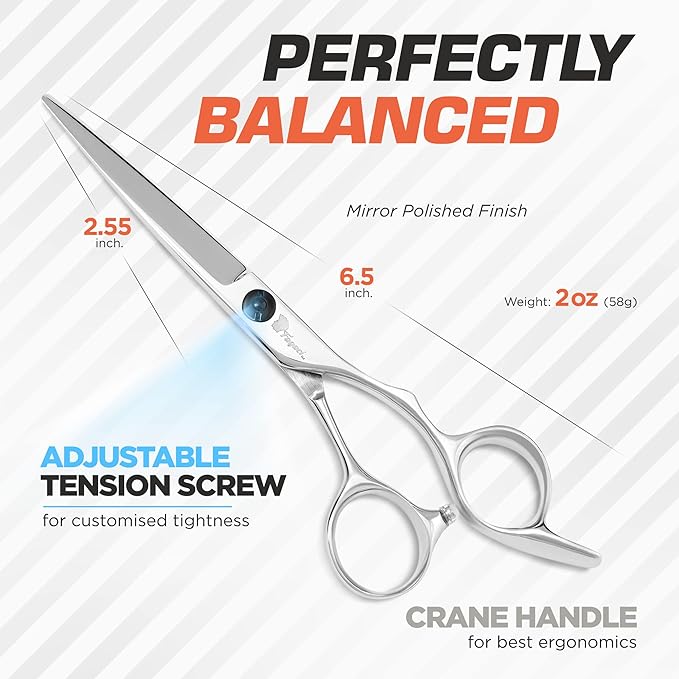 Fagaci Professional Hair Scissors 6??Extremely Sharp Blades, Fine Cutting Blades, Hair Cutting Scissors Professional, Hair Shears, Barber Scissors Set for Men and Women, Haircut Scissors Hair Kit