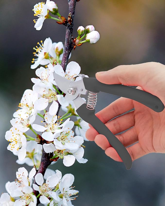 Pruning Shears for Gardening, 2 Pack Garden Scissors for Cutting Fresh Flowers, Floral Clippers for Plants, Fruits (Black)