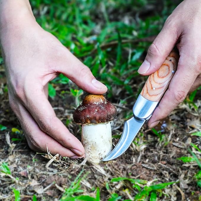 Mushroom Knife with Brush and Sheath, Curved Stainless Steel Blade, Hardwood Handle, 7.06 Inch Folding Design, for Morels, Porcini, Chanterelles, Foraging Mushroom Gifts