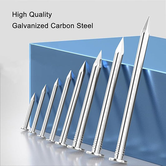 300PCS Galvanized Steel Hardware Nails with Storage Box, 1-1/2 Inch Flat Head Nails for Hanging Pictures and Woodworking, Picture Hanging Nails, Small Nails, Wall Nails, Wood Nails, Finishing Nails