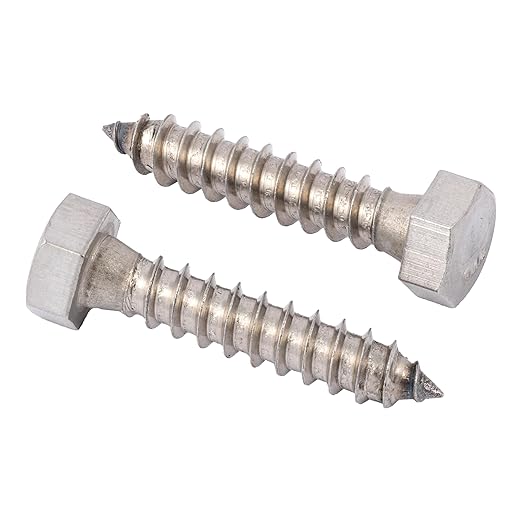 5/16 x 1 Stainless Lag Bolt (25-Pack) 18-8 Stainless Steel, Heavy Duty Hex Wood Lag Screw, ASME B18.2.1 Commercial/Industrial Grade by Makers Bolt