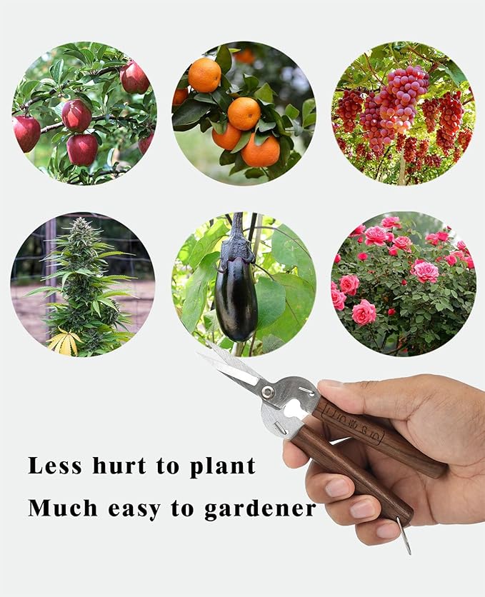 Razor Sharp Pruning Shears for Gardening, Garden Shears Carbon Steel Blade, Precision garden scissors Walnut Wood handle, 6.8??Garden Snips for Trimming Fruits, Vegetables, Flowers, Buds, Bonsai