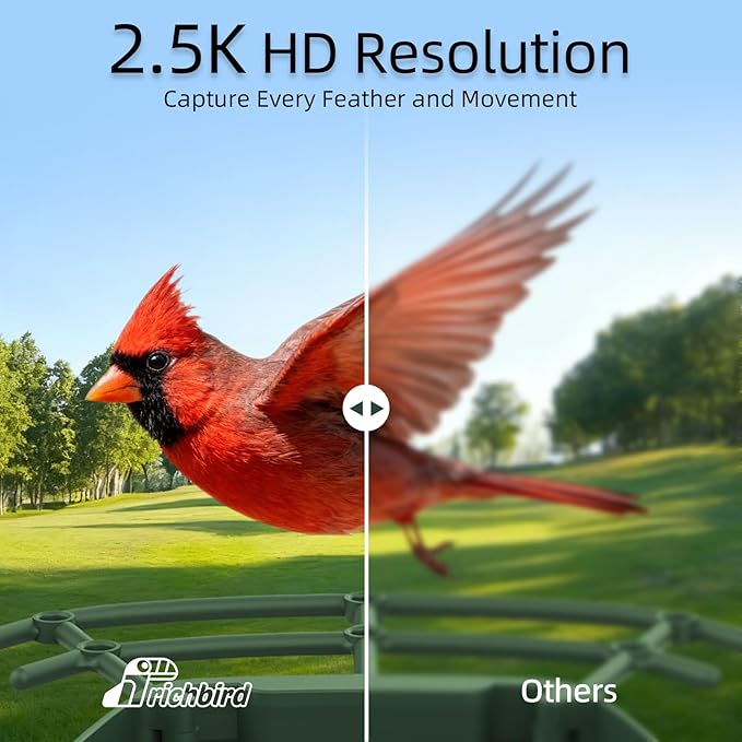 Upgraded Smart Bird Feeder with 2.5K HD Camera, Birdwatching Camera with AI Identify Birds for Outdoors, Squirrel Proof, Auto Video Capture & Instant Notifications, Brown