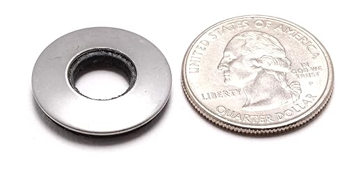 Bolt Dropper 3/8" x 7/8" Stainless Steel EPDM Bonded Sealing Washers (50 Pack), 1" OD Neoprene Backed Corrosion Resistant Load Distribution Water Tight Seal by Bolt Dropper