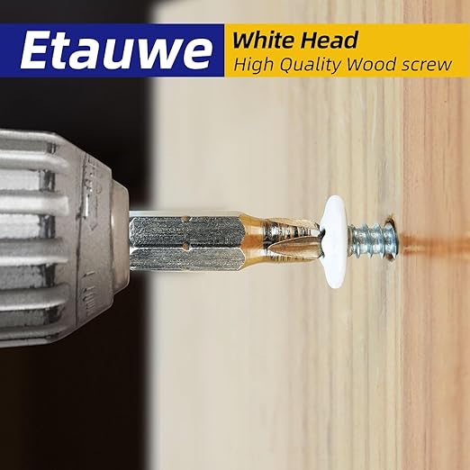 120 PCS #8 Phillips Truss Head White Wood Screw Assortment - Self-Tapping Fasteners for Wall Plates & Woodworking (1/2", 3/4", 1") with Screwdriver Bit