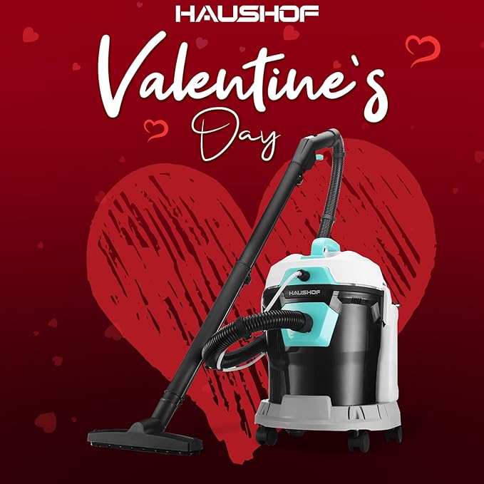 HAUSHOF 4 Gallon 5.5 Peak HP Wet/Dry Vacuum Upholstery Cleaner, Portable Shop Vacuum with 1-1/4 Inch Diameter x 5 Foot Hose, 13 Foot Cord, Ideal for Home, Workshop, and Garage Cleaning