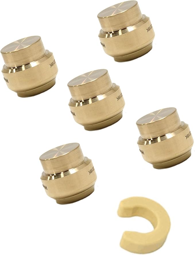 (Pack of 5) EFIELD 1/2 Inch Plug End Cap Push-Fit Fitting to Connect Pex, Copper, CPVC with a Disconnect Clip,(PF143-5PCS)