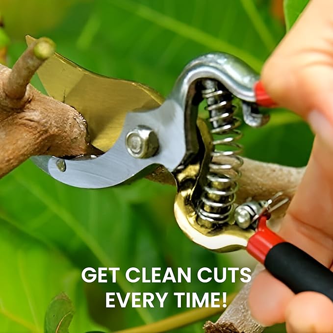GARDEN GURU Indestructible Titanium Garden Clippers - Professional Bypass Hand Pruner Pruning Shear w Comfort Grip Handles for Gardening & Yard Work - Hardened Steel & Titanium Blade - 1 Case (60 Pcs)