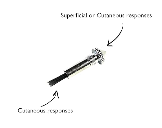 EMI Platinum Series Tromner Neurological Deluxe Reflex Hammer