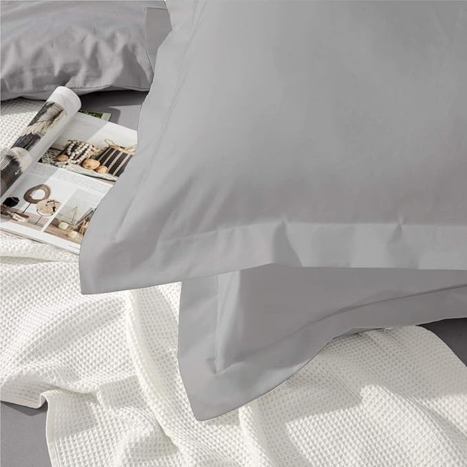 2Pcs Pillowcase 800 Thread Count 100% Egyptian Cotton Pillows for Sleeping, Soft & Silky Sateen Weave Bed Pillow Cover Long-Staple Standard Pillowcase Set of 2 Size (20"x40") - Silver Solid