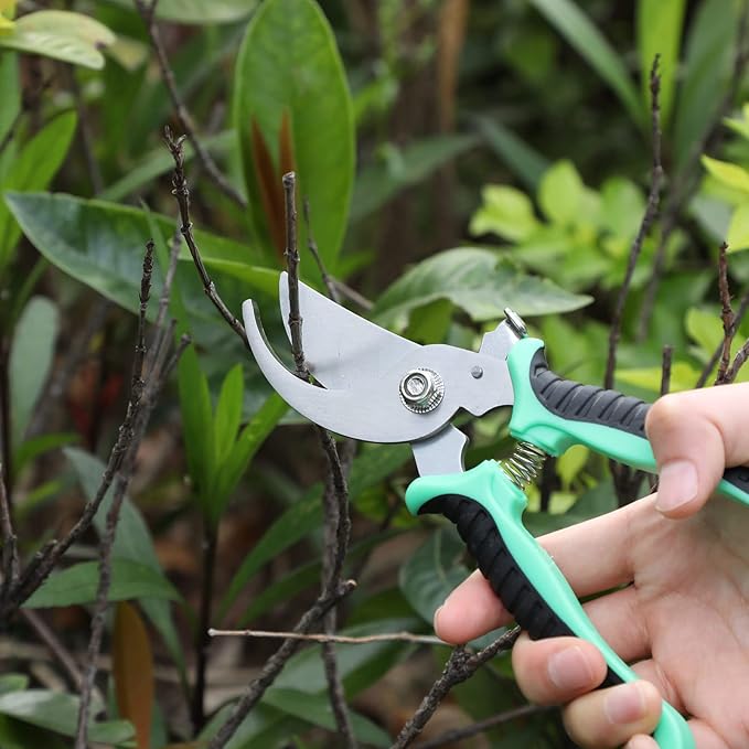Lothee 9 Pcs Garden Shears Pruning Garden Clippers Bulk Bypass Pruner Heavy Duty for Gardening Hedge Plant Cutting Flower Scissors for Tree Trimming Bonsai Cutting Fruits Picking