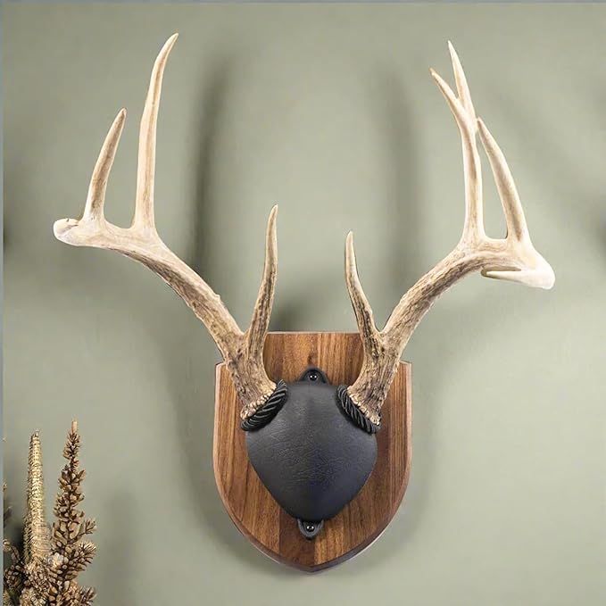 Foggy Bottom WOODWORKS LLC Antler Display KIT, Solid Walnut