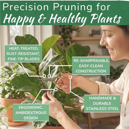 Premium Houseplant Scissors | 100% Stainless Steel, Ultra-Precise Garden Clippers for Propagation & Trimming | Rust-Resistant, Easy Clean Pruning Shears | Indoor & Outdoor | Comfortable & Ambidextrous