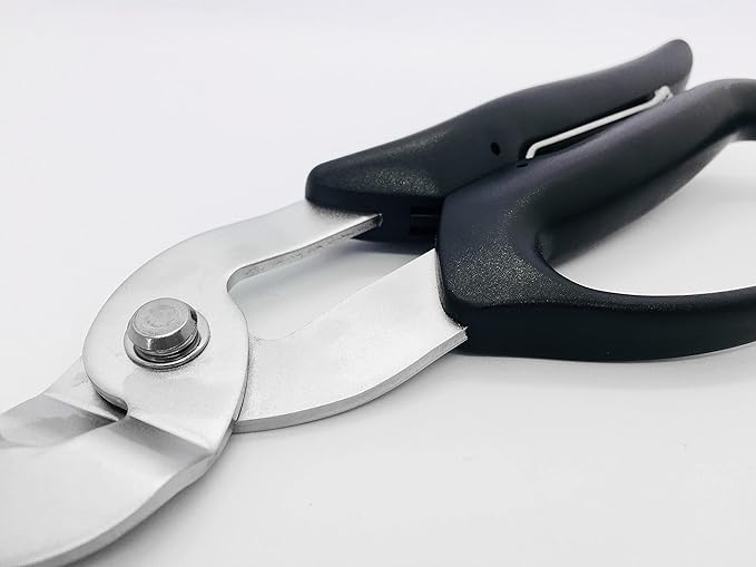 ALLEX Cardboard Scissors Heavy Duty 8.8" Spring Loaded Craft Scissors Angled Blade, Japanese Stainless Steel Blade, Made in Japan
