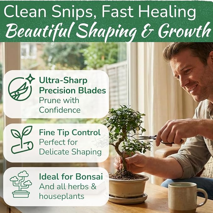 Premium Houseplant Scissors | 100% Stainless Steel, Ultra-Precise Garden Clippers for Propagation & Trimming | Rust-Resistant, Easy Clean Pruning Shears | Indoor & Outdoor | Comfortable & Ambidextrous