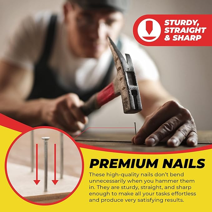 Top Quality Nail Assortment Kit ??Over a 1800 Multipurpose Hardware Nails - 11 Different Sizes ??Non Bendable & Sturdy - Compact Organized Box