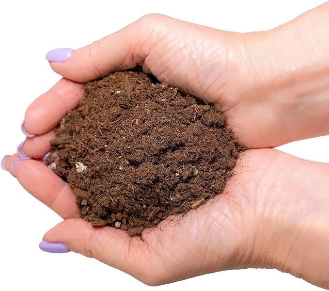 GARDENERA Premium Dracaena Potting Soil Mix - (4 Quart Bag)