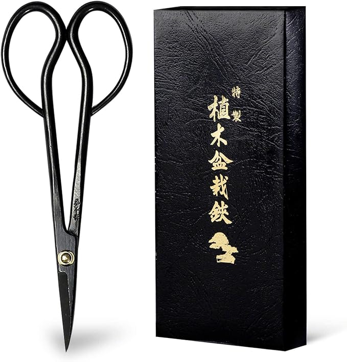 Wazakura Satsuki Bonsai Scissors 7" (180mm) ??Hand-Forged Japanese Pruning Shears Made in Japan, S58C Carbon Steel, Precision Bonsai & Garden Tool