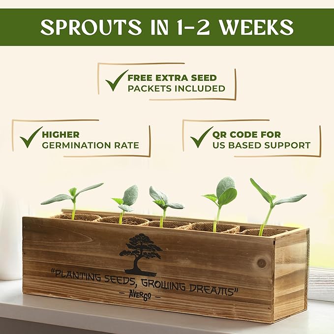 DIY Bonsai Tree Kit for Beginners ??5X Unique Japanese Bonzai Trees | Complete Indoor Bonsai Starter Kit for Growing Bonsai Plants with Tools & Planters ??DIY Gardening Gifts for Women & Men