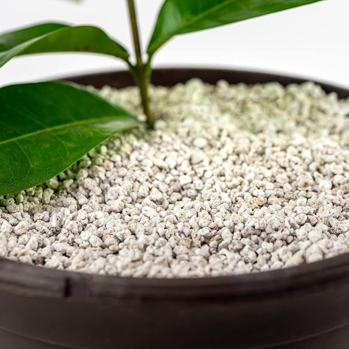 Gardenera Organic Perlite ??Medium/Fine Grade Horticultural Soil Amendment for Indoor & Outdoor Container Plants for Drainage Management and Enhanced Growth (3 Quart)