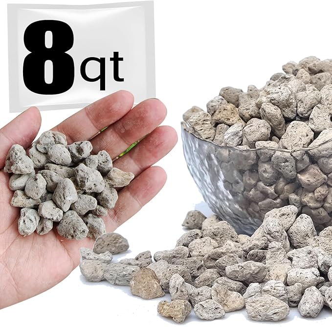Horticultural Pumice for Plants Professional Sifted (8QT, 1/2 inch)
