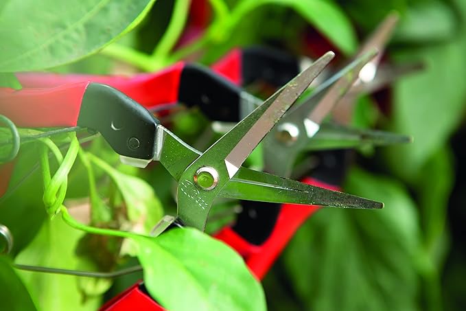 Felco F321 Pruning Snips ??7" Garden Clippers with Curved Blade & Rounded Tip | Pruning Shears for Gardening | Garden Snips and Pruners with Carbon Steel Blade, Sap Groove