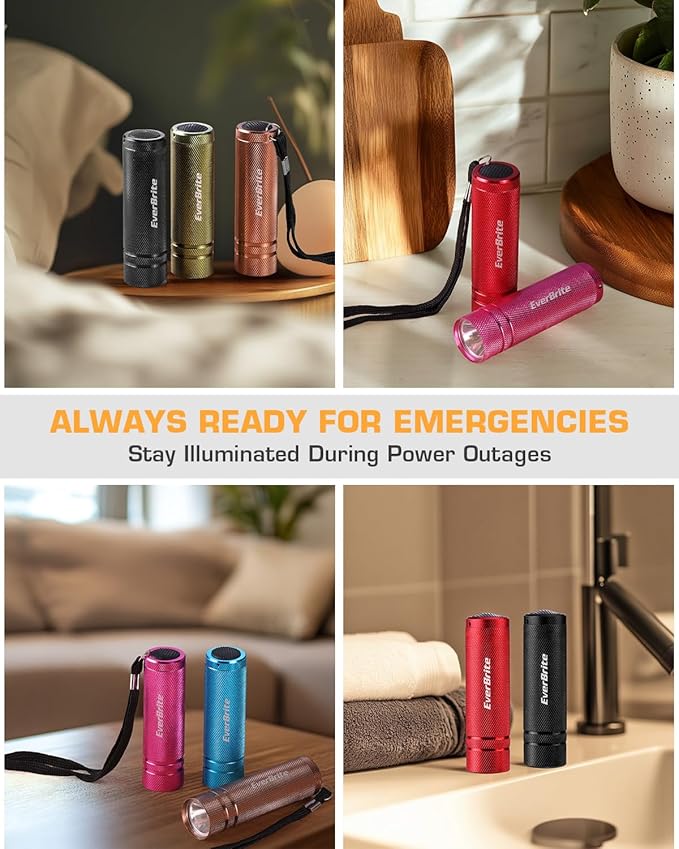 EverBrite 30-Pack Mini Flashlight Set, Aluminum LED Handheld Torches with Lanyard, Assorted Colors, 90xAAA Batteries Included for Emergency, Night Reading, Camping, Power Outage, Bulk Holiday Gifts
