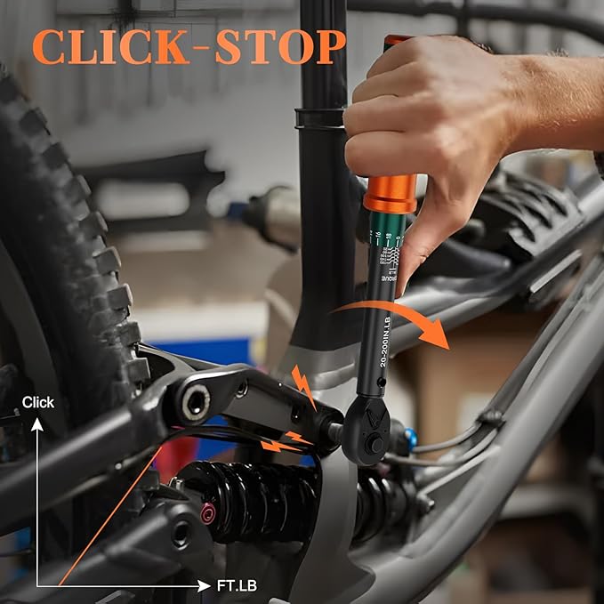 1/4-Inch Drive Click Torque Wrench, 20-200 In.Lb, 72-Tooth Dual-Direction Adjustable Small Inch Pound Torque Wrench, 짹3% High Precision for Bicycle, Small Equipment Repair