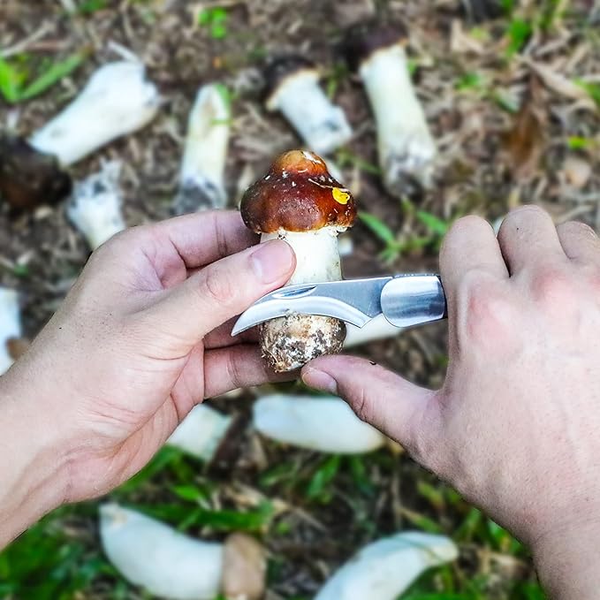 Mushroom Knife with Brush and Sheath, Curved Stainless Steel Blade, Hardwood Handle, 7.06 Inch Folding Design, for Morels, Porcini, Chanterelles, Foraging Mushroom Gifts